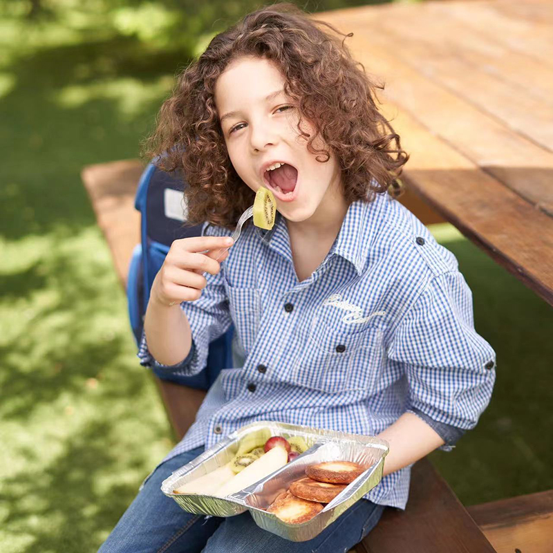 &agrave; deux plaques de grille